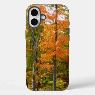 Fall Maple Trees Autumn Nature Photography iPhone 16 Plus Case