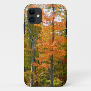 Fall Maple Trees Autumn Nature Photography iPhone 11 Case
