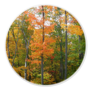 Fall Maple Trees Autumn Nature Photography Ceramic Knob