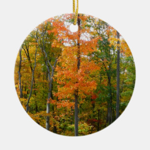 Fall Maple Trees Autumn Nature Photography Ceramic Tree Decoration