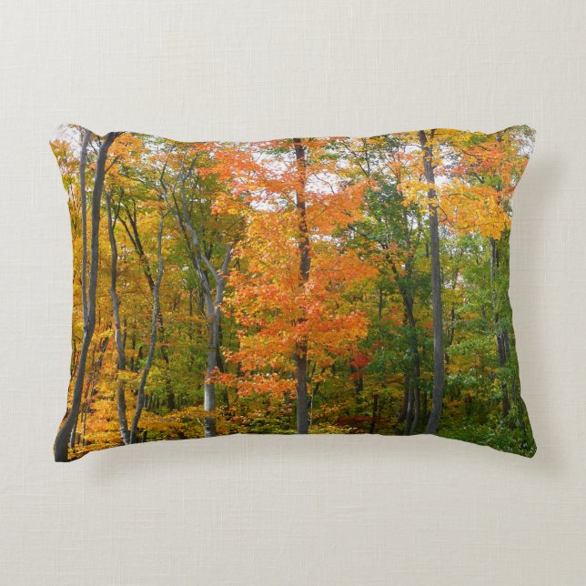 Fall Maple Trees Autumn Nature Photography Decorative Cushion (Front)