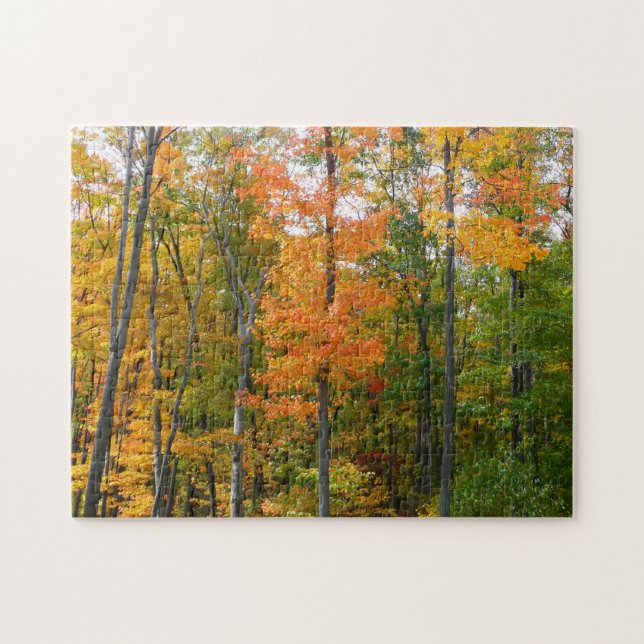 Fall Maple Trees Autumn Nature Photography Jigsaw Puzzle (Horizontal)