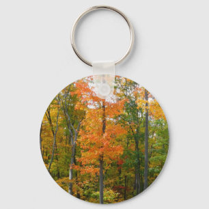 Fall Maple Trees Autumn Nature Photography Key Ring
