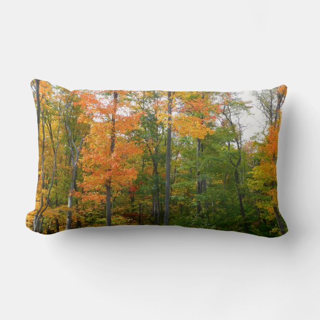 Fall Maple Trees Autumn Nature Photography Lumbar Cushion (Front)