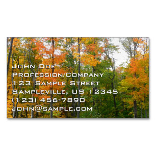 Fall Maple Trees Autumn Nature Photography Magnetic Business Card
