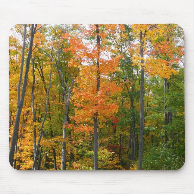 Fall Maple Trees Autumn Nature Photography Mouse Pad (Front)