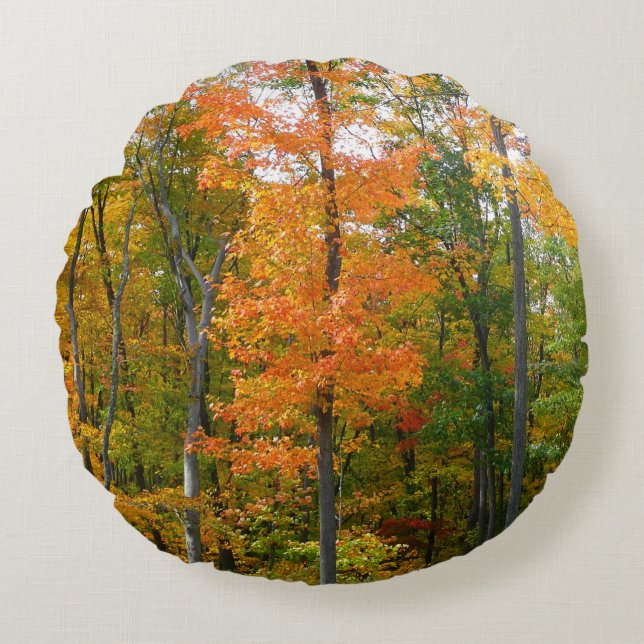 Fall Maple Trees Autumn Nature Photography Round Cushion (Front)