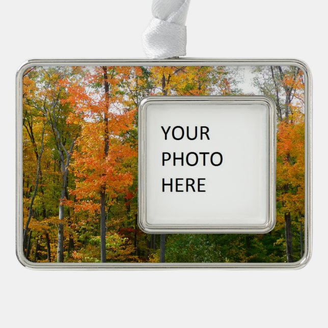 Fall Maple Trees Autumn Nature Photography Silver Plated Framed Ornament (Front)