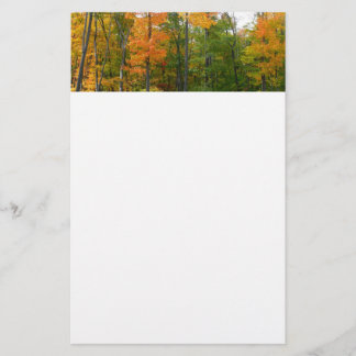 Fall Maple Trees Autumn Nature Photography Stationery