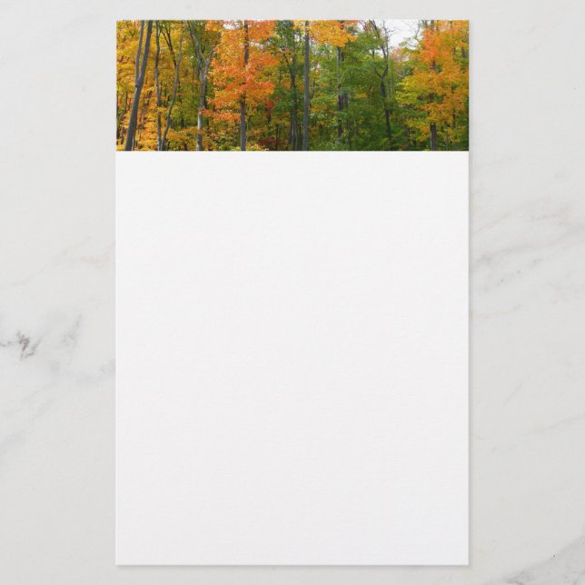 Fall Maple Trees Autumn Nature Photography Stationery (Front)