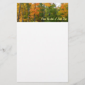 Fall Maple Trees Autumn Nature Photography Stationery