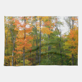 Fall Maple Trees Autumn Nature Photography Tea Towel