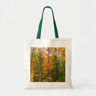 Fall Maple Trees Autumn Nature Photography Tote Bag