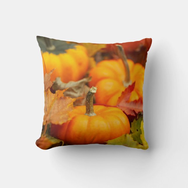 Fall Mini Pumpkins Cushion (Front)