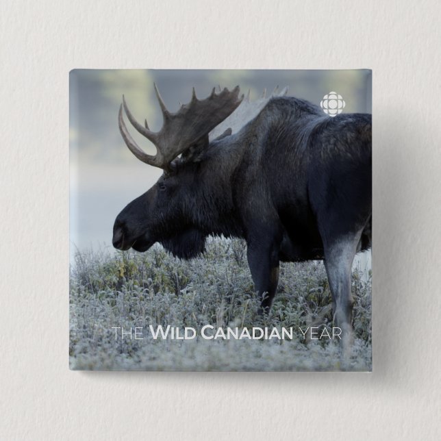 Fall - Moose 15 Cm Square Badge (Front)