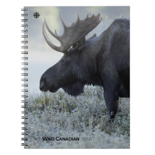 Fall - Moose Spiral Notebook