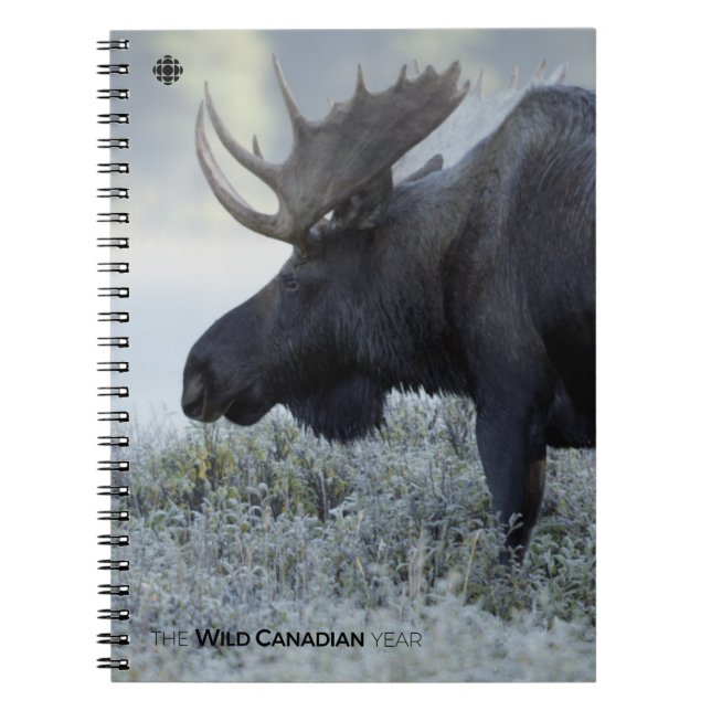 Fall - Moose Spiral Notebook (Front)
