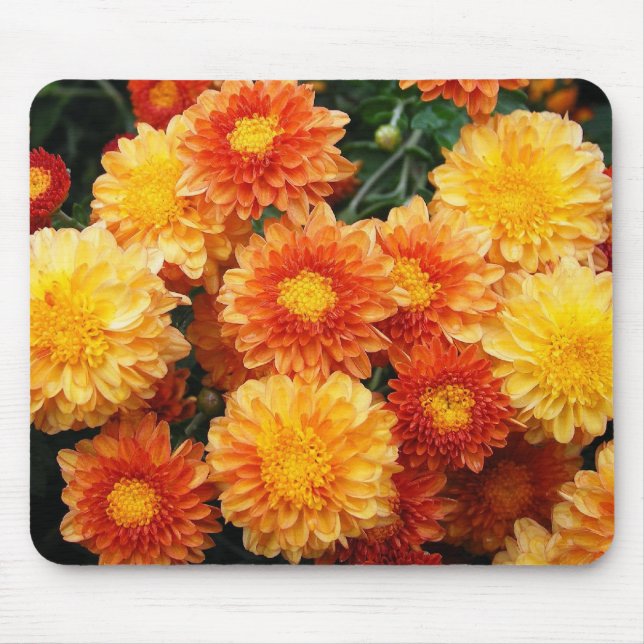 Fall Mums Mouse Pad (Front)