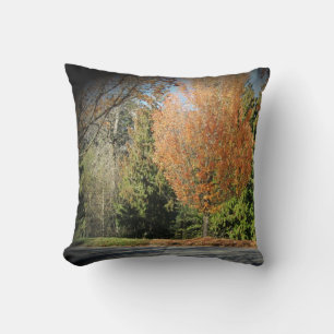 Fall Nature Scene Cushion