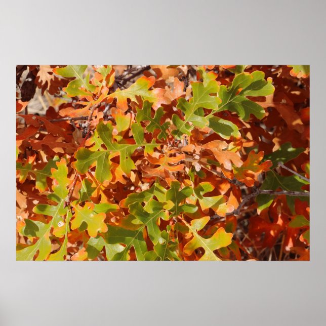 Fall Oak Tapestry Poster (Front)