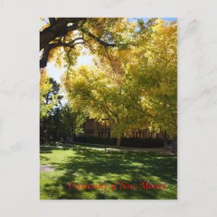 Fall on Campus I Postcard