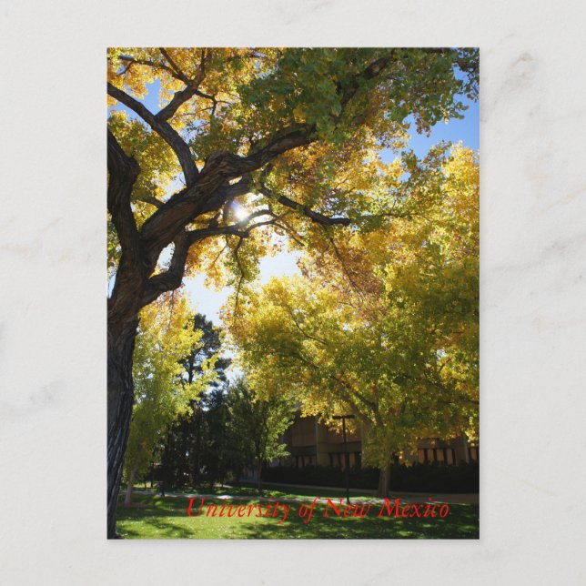 Fall on Campus II Postcard (Front)