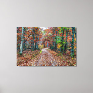 Fall On The Dirt Road new Canvas Print