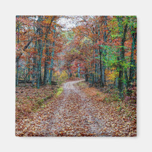 Fall On The Dirt Road new Magnet
