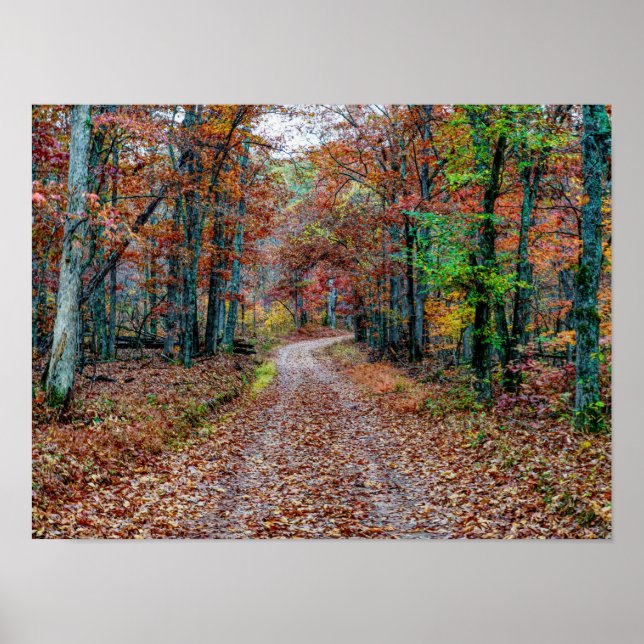 Fall On The Dirt Road new Poster (Front)