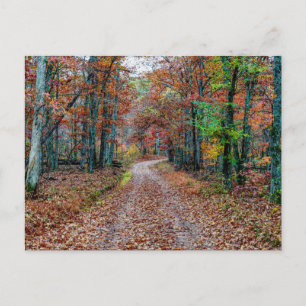 Fall On The Dirt Road Postcard