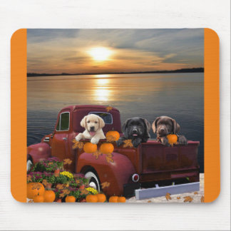 fall on the lake mouse pad