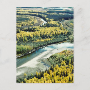 Fall on the Yukon Flats National Wildlife Refuge Postcard
