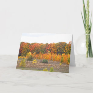 "FALL PALETTE IN THE COUNTRY" (PHOTOG.) CARD