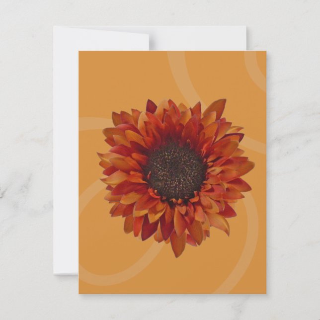 Fall Party Invitation - Orange Sunflower (Front)