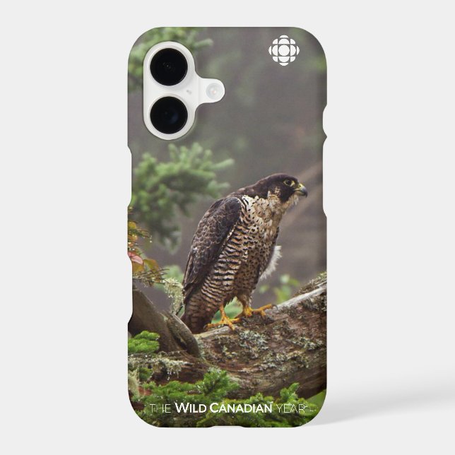 Fall - Peregrine Falcon (Back)