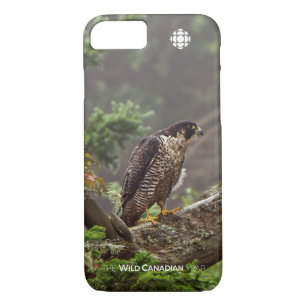 Fall - Peregrine Falcon Case-Mate iPhone Case