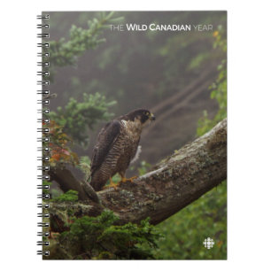 Fall - Peregrine Falcon Spiral Notebook