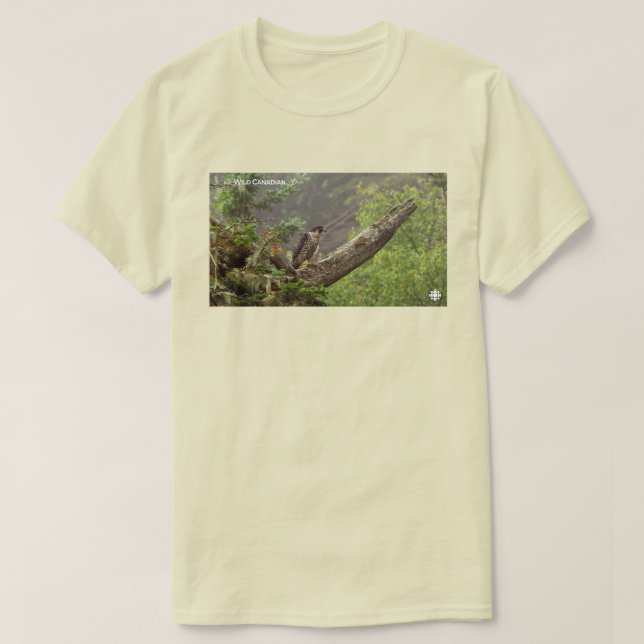 Fall - Peregrine Falcon T-Shirt (Design Front)