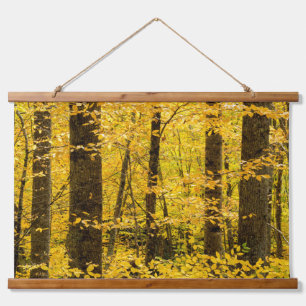 Fall Pisgah National Forest Hanging Tapestry