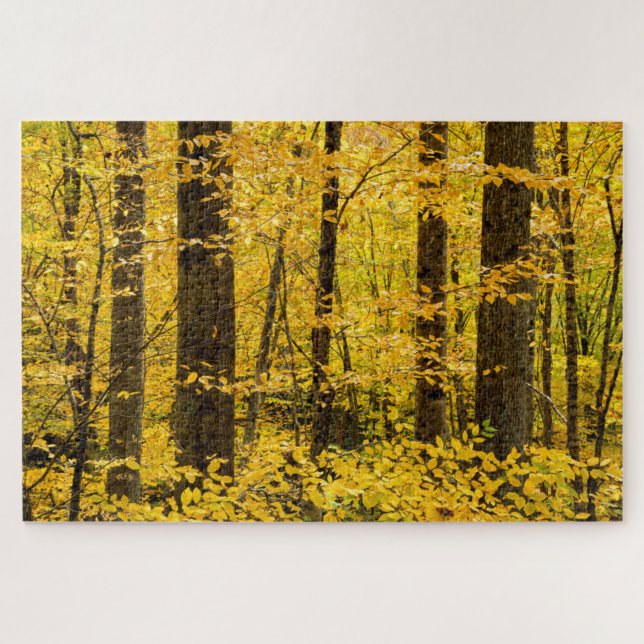 Fall Pisgah National Forest Jigsaw Puzzle (Horizontal)