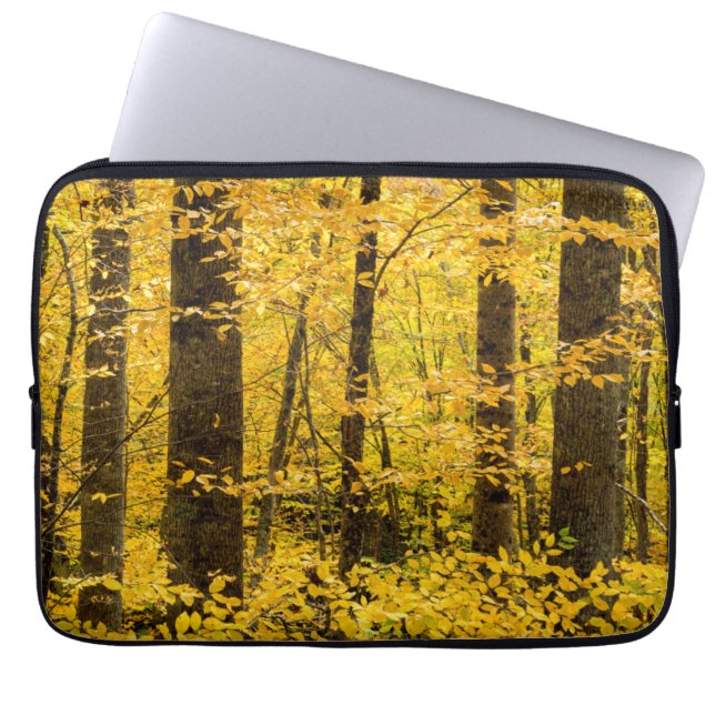 Fall Pisgah National Forest Laptop Sleeve (Front)