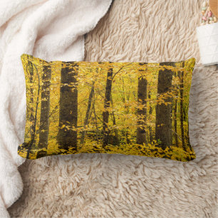 Fall Pisgah National Forest Lumbar Cushion