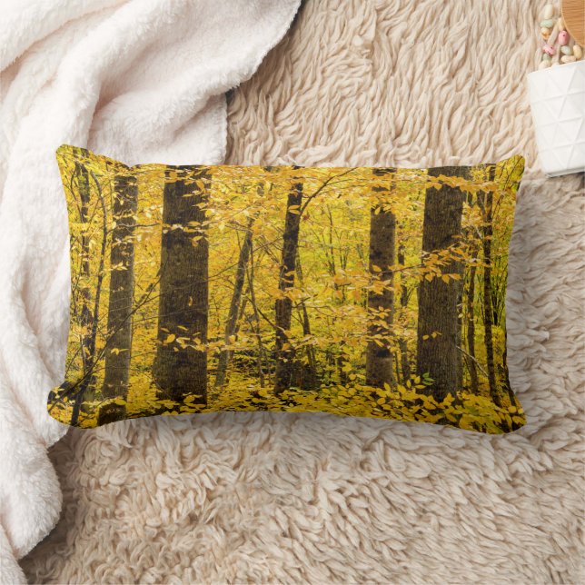 Fall Pisgah National Forest Lumbar Cushion (Blanket)