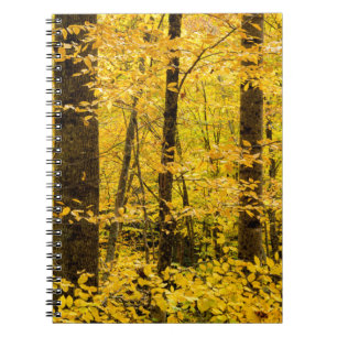 Fall Pisgah National Forest Notebook
