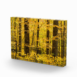 Fall Pisgah National Forest Photo Block
