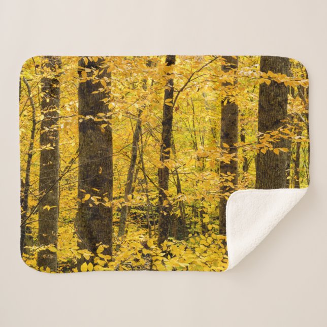 Fall Pisgah National Forest Sherpa Blanket (Front (Horizontal))