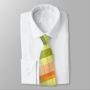 fall plaid colours men's tie