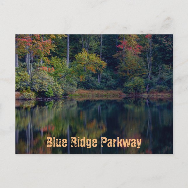 Fall Pond Reflections  Postcard (Front)