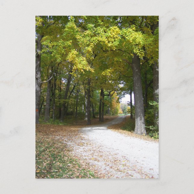 fall post card (Front)