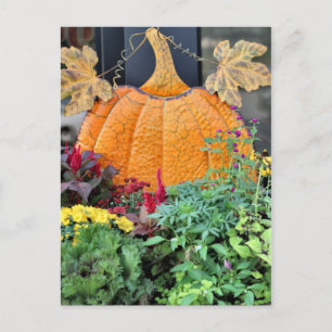 Fall Postcard